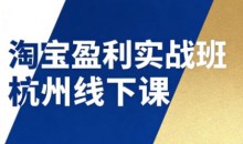 爱上黄昏淘宝盈利实战班杭州线下课12月26-28日（音频+字幕）