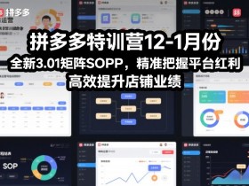 拼多多特训营12-1月份，全新3.01矩阵Sop，精准把握平台红利，高效提升店铺业绩