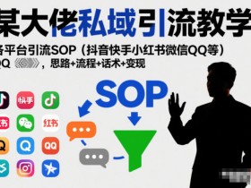 某大佬私域引流教学，各平台引流SOP（抖音快手小红书微信QQ等），思路+流程+话术+变现