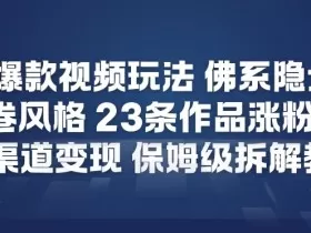 26年爆款短视频玩法，佛系隐士玩法，反内卷视频风格，23条作品涨粉12W，多渠道变现