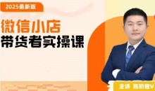 陈奶爸2025新版原创微信小店带货者实操课，教你微信开小店