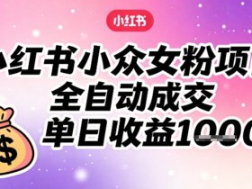 小红书小众女粉项目，全自动成交，单日收益多张