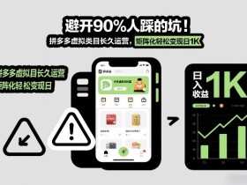 避开90%人踩的坑，拼多多虚拟类目长久运营，矩阵化轻松变现日1K【揭秘】