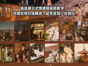 高级感日式情感短视频教学，可做伙伴分成精选，起号变现一步到位