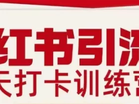 小红书引流21天打卡训练营第二期，助你快速打通小红书私域引流打粉