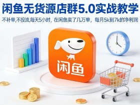 闲鱼无货源店群5.0实战教学，不补单，不投流，每天5小时，在闲鱼卖了几万单，每月5k到7k的净利润