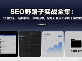SEO野路子实战全集：快速收录、站群霸屏、黑帽技术，全是可直接上手的干货教程