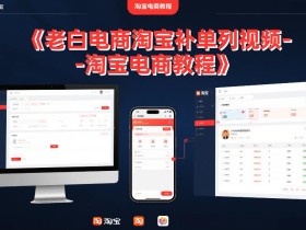 老白电商淘宝补单系列视频-淘宝电商教程