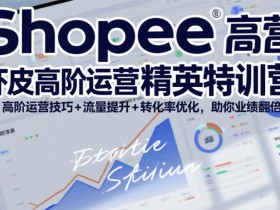 Shopee虾皮高阶运营精英特训营，高阶运营技巧+流量提升+转化率优化，助你业绩翻倍