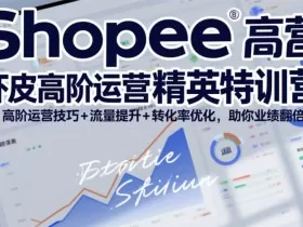 Shopee虾皮高阶运营精英特训营，高阶运营技巧+流量提升+转化率优化，助你业绩翻倍