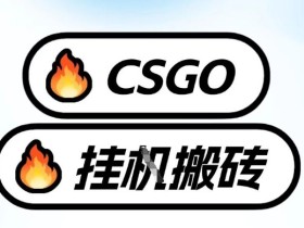 真全网独家CSGO挂G，最新玩法,单日捡漏1K+，不用电脑，不用打游戏【揭秘】