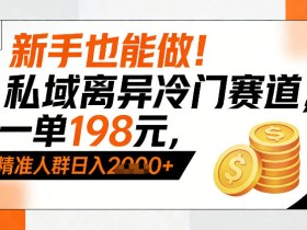 新手也能做！私域离异冷门赛道，一单198，精准人群日入1k+