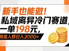 新手也能做！私域离异冷门赛道，一单198，精准人群日入1k+