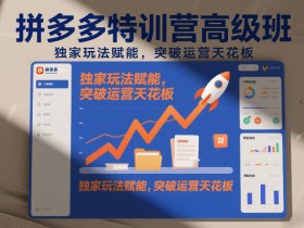 拼多多特训营高阶班，独家玩法赋能，突破运营天花板（更新26年1月）