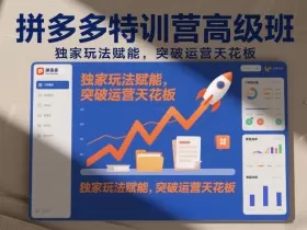 拼多多特训营高阶班，独家玩法赋能，突破运营天花板（更新26年1月）
