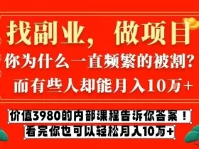 价值3980的网创内部课程，告诉你互联网创业月入10个W的秘密【揭秘】