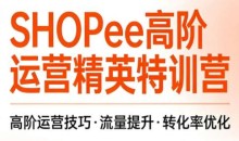 梦凡老师·Shopee虾皮高阶运营课程