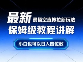 最新最悟空直搜拉新玩法保姆级教程讲解，小白也可以日入四位数