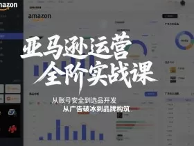 亚马逊运营全阶实战课，从账号安全到选品开发，从广告破冰到品牌构筑（更新2026）
