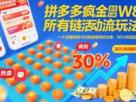 拼多多疯狂活动流玩法，所有链接全部打标，一个店铺矩阵100条链接同时出单，30%利润起店