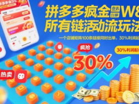 拼多多疯狂活动流玩法,所有链接全部打标,一个店铺矩阵100条链接同时出单,30%利润起店