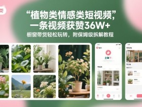 植物类情感类短视频，一条视频获赞36W+，橱窗带货轻松玩转，附保姆级拆解教程