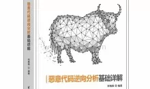 最新恶意代码分析实战教程完整版[网络攻防]