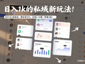 日入1k的私域新玩法：日引30+精准流，转化率50%，日销5-10笔（单笔3张）