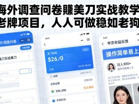 海外调查问卷賺美刀实战教学，老牌项目，人人可做稳如老狗