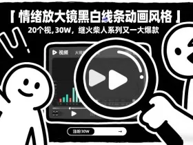 情绪放大镜黑白线条动画风格，20个视频，涨粉30W，继火柴人系列又一大爆款