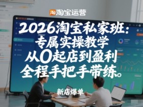 2026淘宝私家班：专属实操教学，从0起店到盈利，全程手把手带练