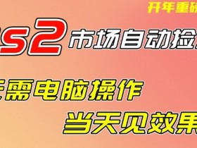 CS2市场自动捡漏项目,无需电脑操作,无需进入游戏,当天见效果,支持任何形式验证【揭秘】