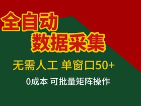 全自动数据采集，无需人工，单窗口50+，0成本可批量矩阵操作【揭秘】
