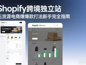 Shopify跨境独立站无货源电商爆款打法新手完全指南
