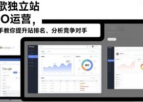 谷歌独立站SEO运营，手把手教你提升网站排名、分析竞争对手（更新2026）