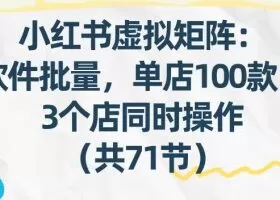 小红书虚拟矩阵：软件批量发笔记，单店100款，3个店同时操作（共71节）