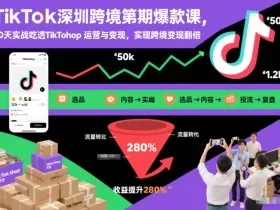 TikTok深圳跨境第2期爆款课，20天实战吃透TikTok Shop运营与变现，实现跨境变现翻倍