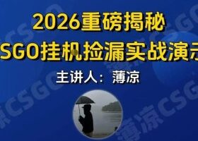 CSGO游戏挂G游戏搬砖最新升级,普通小白一部手机可日入3张+当天见结果,支持验证【揭秘】