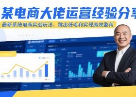 某电商大佬运营经验分享，最新系统电商实战玩法，跳出低毛利实现高效盈利