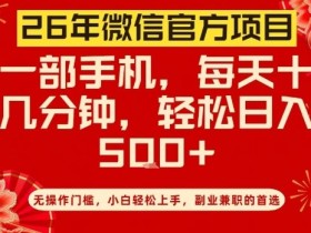 26年微信官方项目，无操作门槛，只需一部手机，轻松日入5张【揭秘】