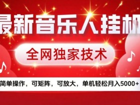 最新音乐人挂G，全网独家技术，简单操作，可矩阵，可放大，单机轻松月入5k+【揭秘】