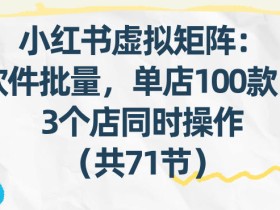 小红书虚拟矩阵：软件批量发笔记，单店100款，3个店同时操作（共71节）