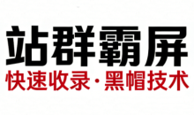 SEO野路子实战全集：快速收录、站群霸屏、黑帽技术