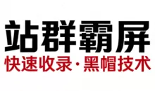 SEO野路子实战全集：快速收录、站群霸屏、黑帽技术