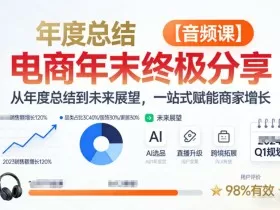电商年未终极分享，从年度总结到未来展望，一站式赋能商家增长【音频课】