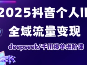 抖音个人IP全域流量变现进阶课，deepseek千川爆单进阶课（更新2026）