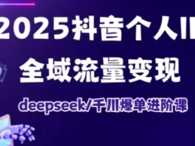 抖音个人IP全域流量变现进阶课，deepseek千川爆单进阶课（更新2026）
