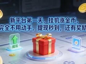 新平台第一天，挂G涨金币，完全不用动手，提现秒到，还有奖励【揭秘】