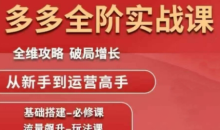 大炮·拼多多全阶实战课程（更新2026）