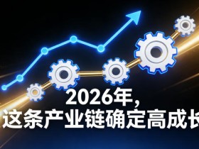 付费文章：2026年，这条产业链确定高成长